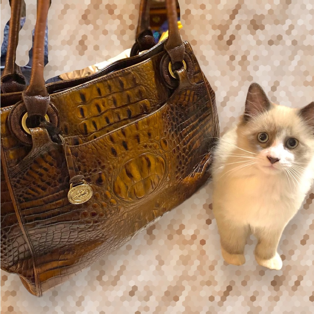 Brahmin handbag. Vintage Euc.multi pockets, long satchel handles.